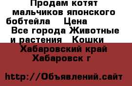 Продам котят мальчиков японского бобтейла. › Цена ­ 30 000 - Все города Животные и растения » Кошки   . Хабаровский край,Хабаровск г.
